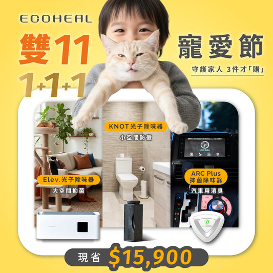 【全天守候組】（Elev+KNOT+ARC PLUS）